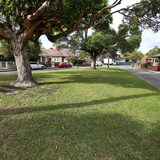  Anthony Street Reserve park view